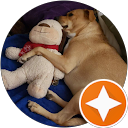 Bobby Horton profile picture