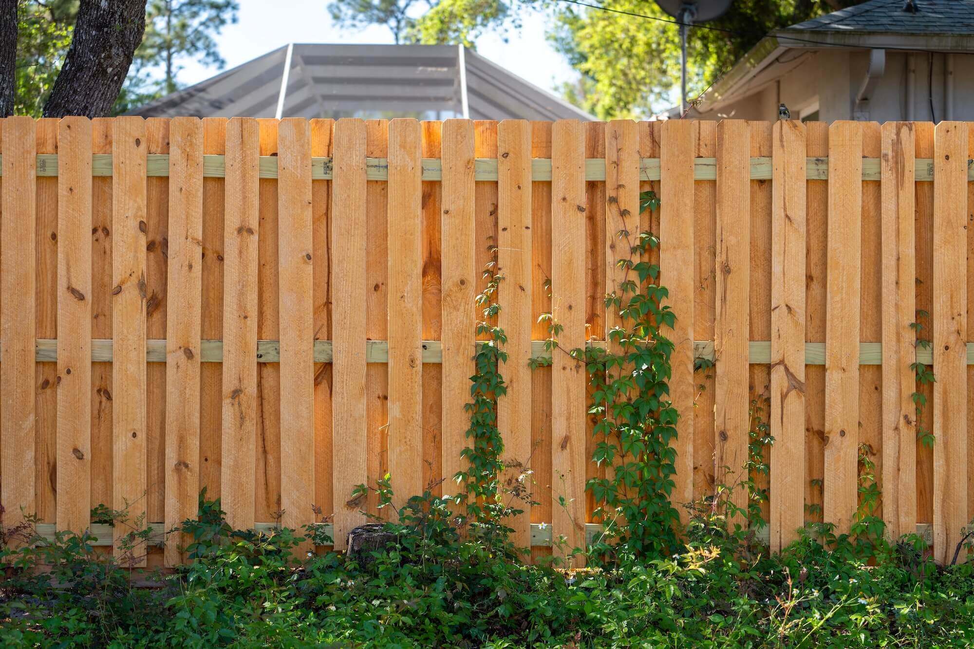 A wooden privacy fence with vertical planks stands in a yard. Green vines and plants grow at the base, installed by a trusted Fence Company in Baton Rouge, LA. A house roof and trees are visible in the background.
